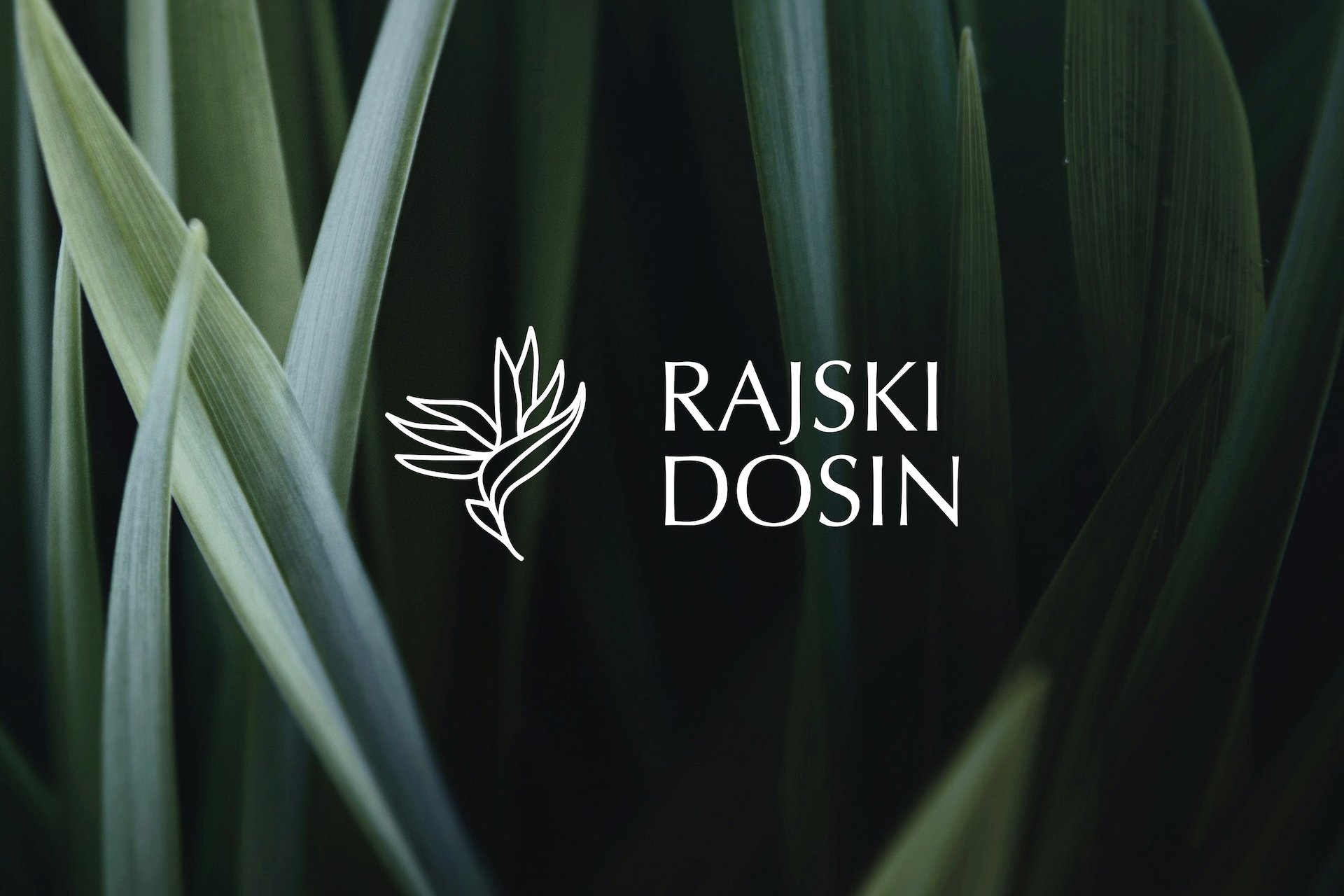 Projekt logo inwestycji deweloperskiej Rajski Dosin